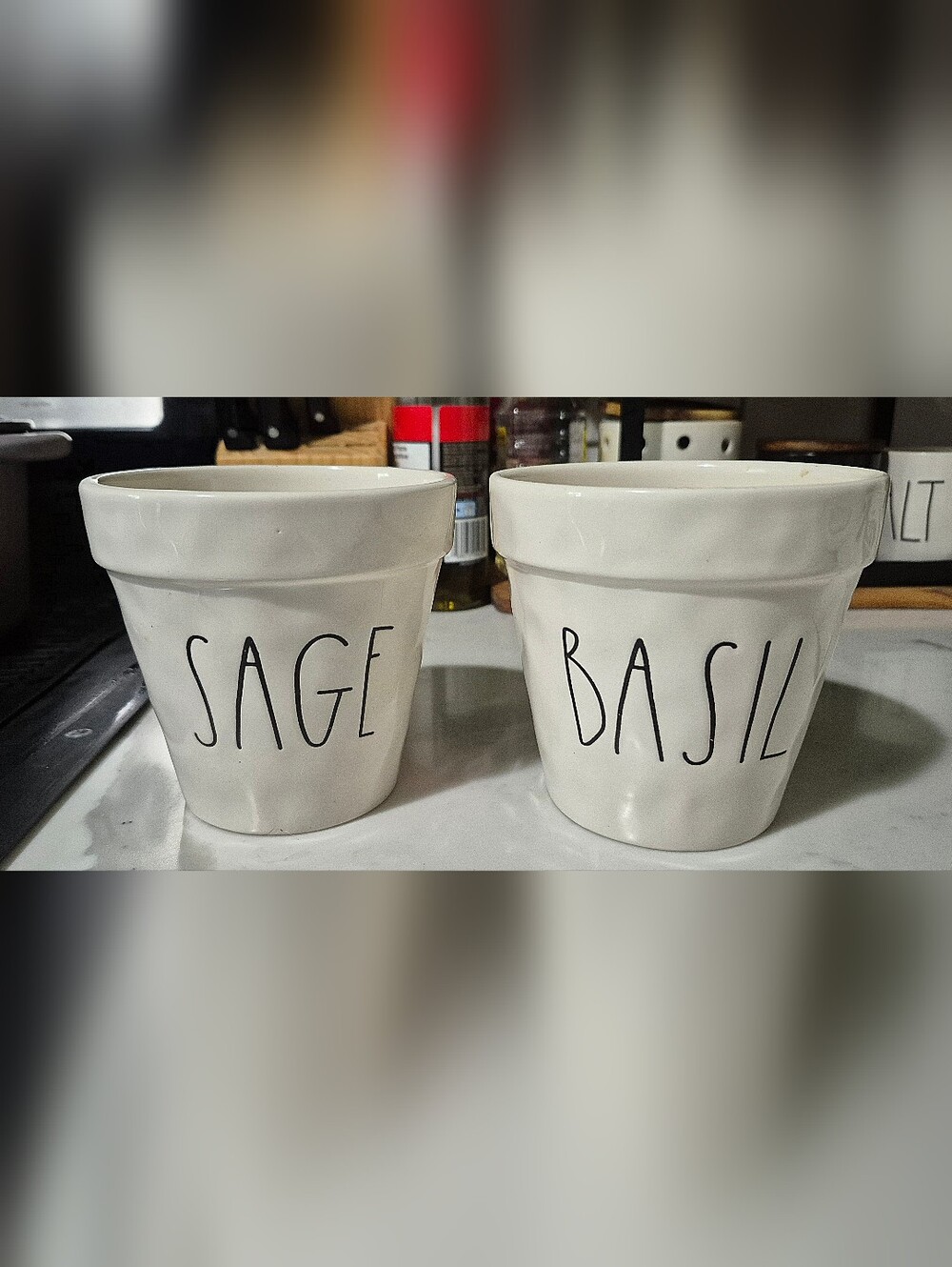 NWOT Rae Dunn Ceramic Herb Planter Pots - Sage & Basil.